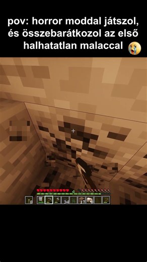 💀SZTEM A BARÁTOM, DE LEHET MEGTÁMAD💀fiam