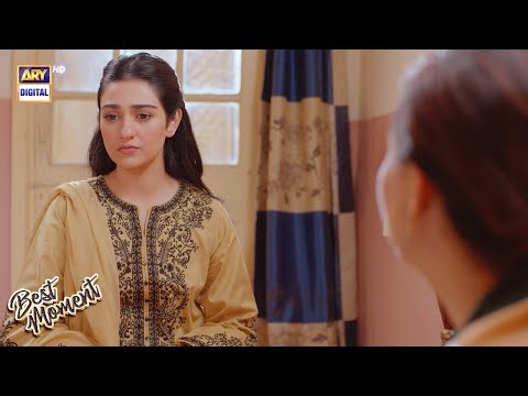Sher Episode 31 | Best Moments | Danish Taimoor | Sarah Khan | ARY Digital