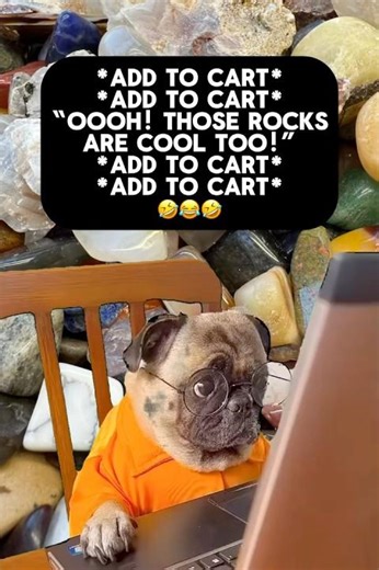 Rock Jokes and Funnies - Rock Shopping