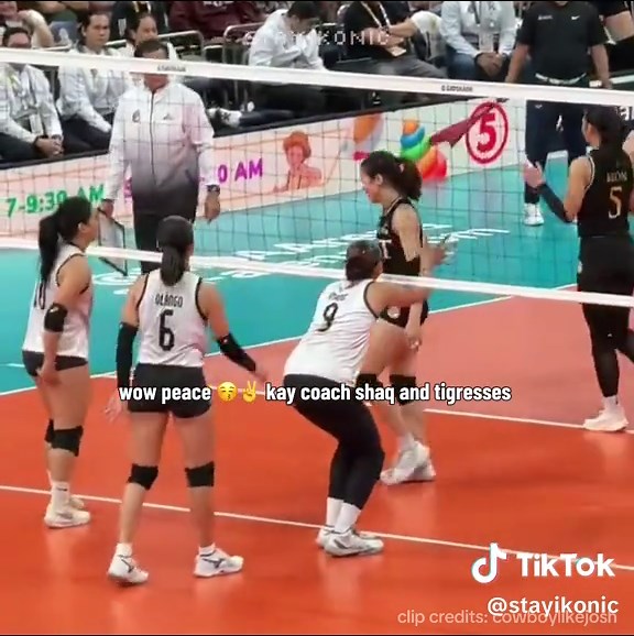 Niña Ytang's Last UAAP Game: A Fun Farewell