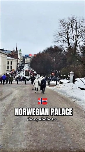 Is this Norway palace ? #shorts #trending