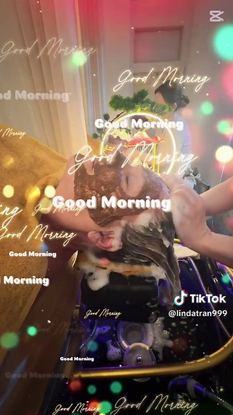 Looking for the ultimate way relax,Just like paradise! 🍃Living in a dream and soaking up every moment .🌹Just like paradise! 🌴✨ Living in a dream and soaking up every moment. ☀️ Bliss ❤️