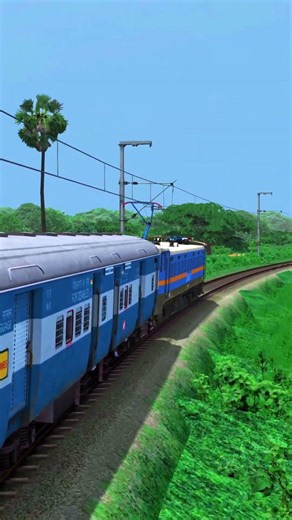 TRAINS HIGH SPEED CURVED RAIL CROSSING | TRAIN CROSSING | TRAIN SIMULATOR