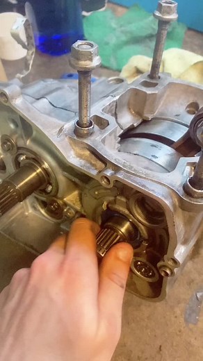 Pedro Cogollos Rodriguez on TikTok