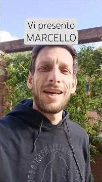 FROM Lego seeds TO Star Wars Minifigures