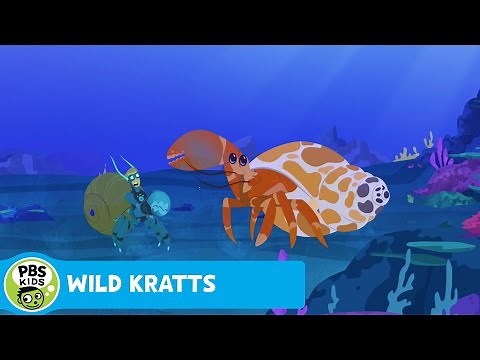WILD KRATTS | Shell Exchange | PBS KIDS