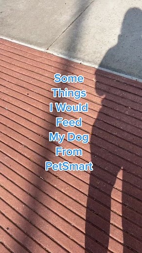 Best Dog Food Brands at PetSmart: Nutritious Options for Your Pooch