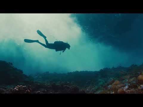 Save Time with Dell AI PCs