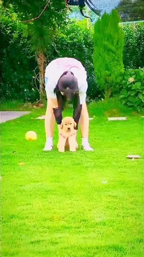 The goodest kind of chaos 🐾😚😻🐕