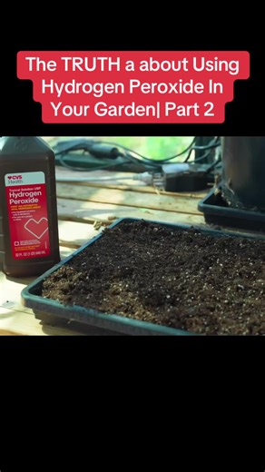 The TRUTH a about Using Hydrogen Peroxide In Your Garden| Part 2