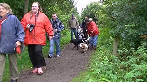 Scottish Basset Hound Walk At Forfar Loch Ally Crombie | BuzzSharer Basset Hounds