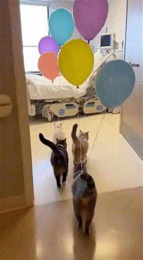 The Cutest Get-Well Visit Ever ❤️🥰