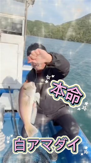 本命白アマダイ コレが釣りたかったんよ#釣り #白アマダイ#船釣り #fishing #海釣り