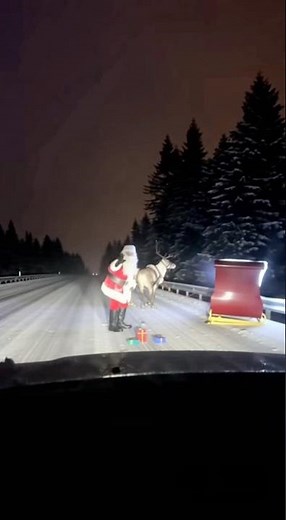Santa Crash from the Sky! 🚗🎅 Reindeer Sleigh Falls on Car #christmas #santa #funny