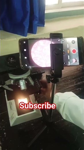 motivational line ll #microscope ll##paramedical #WBC #rbc ll #jharkhandparamedical