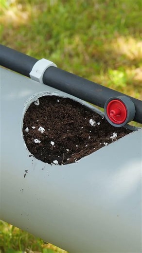 Smart Garden In a PVC Pipe