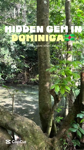 Hidden river spot in Dominica — guess where this is?