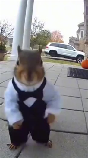 #ai #brainrot | ai brainrot