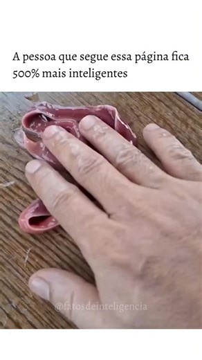 Fatos de Inteligência | Curiosidades on Instagram: "Isso é um verme-fita (também chamado de verme nemerteu, do filo Nemertea). 🔍 O que parece uma “teia” não é teia Aquilo que sai quando encostam nele é a probóscide (um tubo extensível que fica retraído dentro do corpo). 🧬 Por que ele solta isso quando é tocado? É um mecanismo de defesa e também de captura de presas Ao ser perturbado, ele projeta rapidamente a probóscide Essa estrutura libera muco pegajoso, que pode: Grudar em predadores Imobil