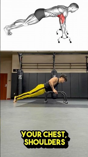 The Real Benefits of Push-Up Bars (Do These Help?)