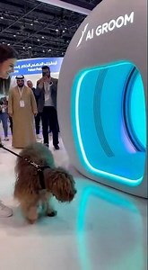 The New AI Grooming Chamber Is Blowing People’s Minds 🤖🐶✨