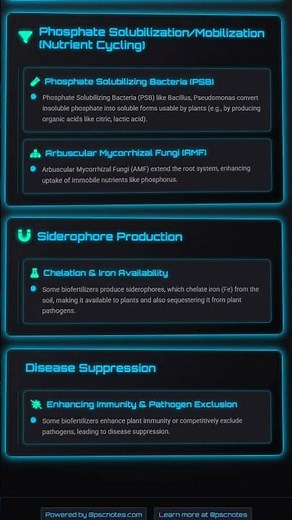 Mechanism of Action of Biofertilizers Nutrient cycling, phytohormone production