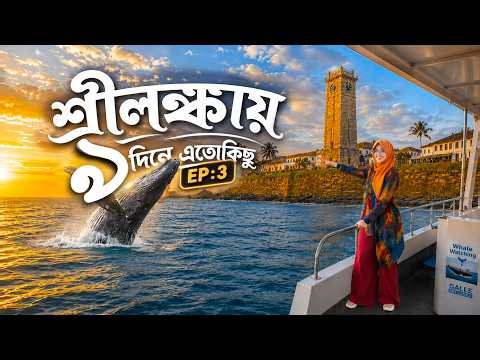 Sri Lanka Travel Guide😱9-Day Complete Tour Plan🐋Costs & Details🏔️Dhaka Sri Lanka Travel 2026 | Ep:3