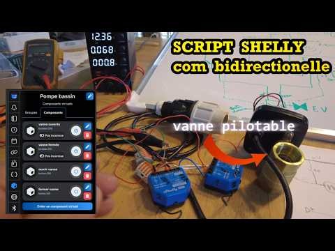 Controlling a SHELLY LORA Ball Valve: Settings, Wiring, and Testing