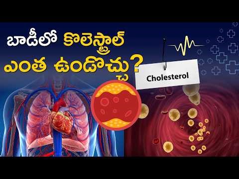 What Is The Right Cholesterol Range | How Much Is Healthy The Limits Must You Know
