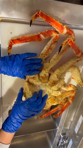 Fresh cooked King Crab is where quality truly shows — sweet aroma, firm texture, and clean, natural meat. In this video, we start the King Crab cleaning process, carefully opening the shell and preparing the meat for the table. This step is essential to preserve flavor and presentation, whether you’re serving it simply with butter or as part of a full seafood feast. At GlobalSeafoods.com, this is the same care and handling used before premium crab reaches our customers — clean, natural, and hand