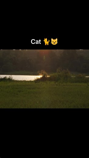 Exploring the Mighty Nile River and Its Wildlife