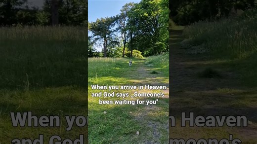 Heavenly reunion: dog waits for owner’s arrival