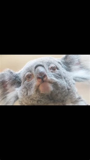 Jess Bradley on Instagram