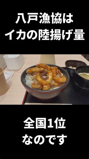 八戸でイカソースカツ丼を食す #shorts #イカソースカツ丼 #青森県 #八戸市