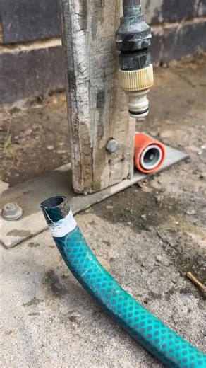 35K views · 1.2K reactions | Find me the nearest roof — I’m about to...