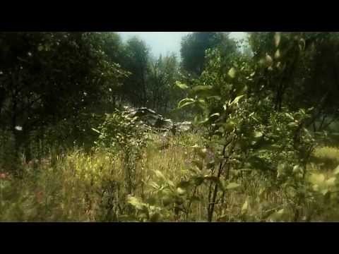 Nature Pack 2.0 - update (Unity 3d)