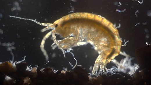 How microplastics make their way into the environment