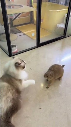 Revolutionize Video Creation: The Power of Co-Creation Unleashed