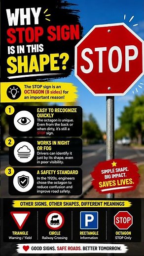 Why STOP 🛑 Sign Has 8 Sides? 😳 | Road Sign Secret Explained #shorts #alexkoshy