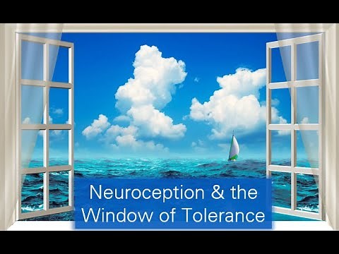 11 - SP - Neuroception and the Window of Tolerance