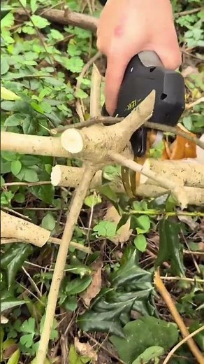 Advanced Pruning Shears for Fast Precision with Electric Garden Shears #smartfarming #gardeningtips