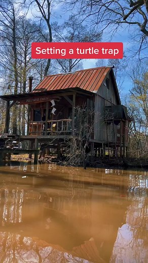Pollywog Cabin on TikTok