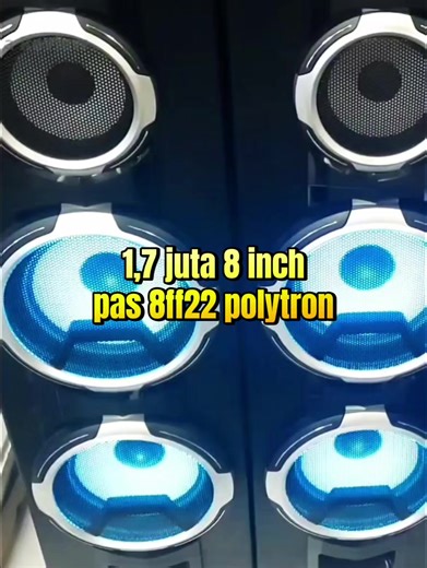 Polytron PAS 8FF22 Speaker Review and Features