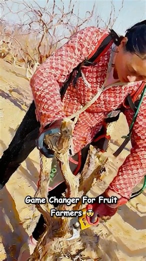 Electric Pruner Is A Game Changer For Farmers 😂