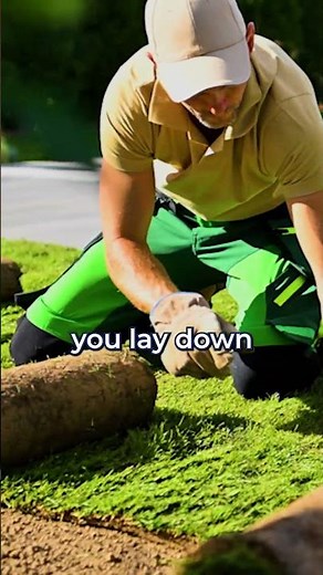 The Best Grass for Shade