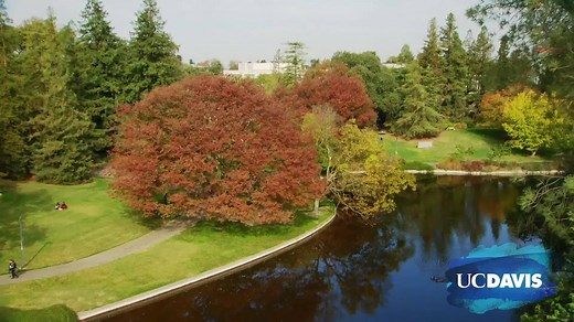 Enjoy some nice UC Davis Arboretum and Public Garden vibes with this aerial view of the Arboretum - then check out this all-new virtual tour of campus here: https://tour.concept3d.com/share/hAQHIrMsL/stop/1 | UC Davis