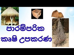 3 ,4 ,5 පරිසරය ,පාරම්පරික කෘෂි උපකරණ