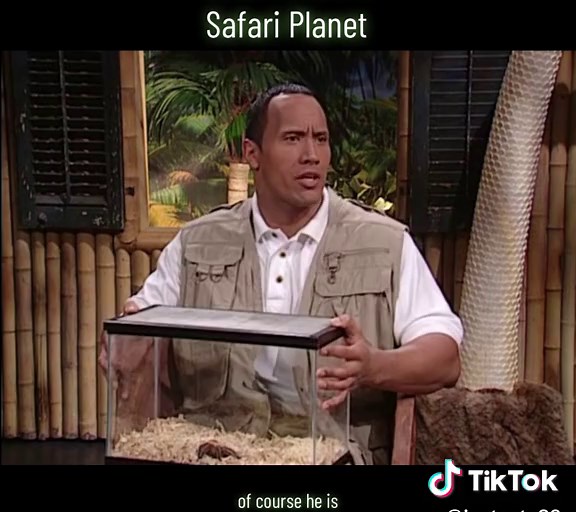 Brian Fellow's Safari Planet: Parrot Impersonation & Tarantula Talk