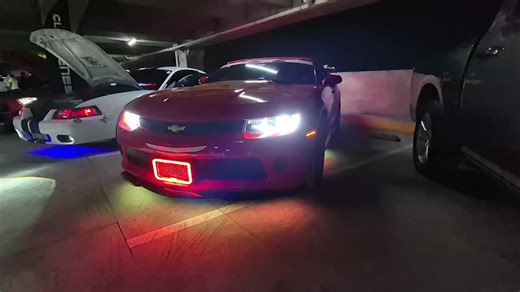 Puros Teams @Adrián Morales 19 @MUSTANG REY 👑🐎👑