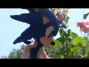 Sonic Plush Adventures-Survivee